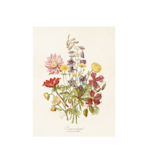 Poster blomsteräng från Sköna Ting