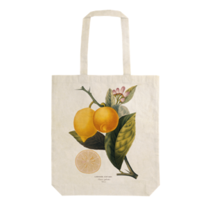 Kasse citron