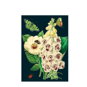 Greeting Card Peony Blank