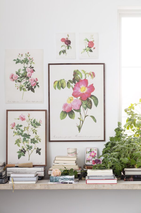 Poster med rosmotiv från Sköna Ting