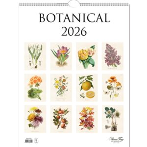Wall calendar 2026