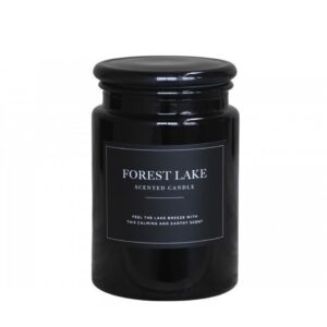 Scented candle Forest lak