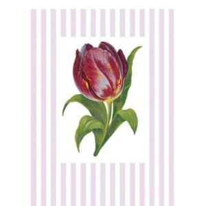 Greeting card Tulip