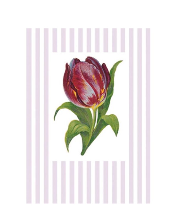 Greeting card Tulip
