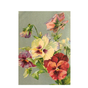 Greeting card pansies